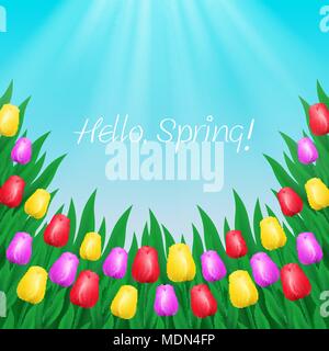 Multicolored tulips on sky background Stock Vector