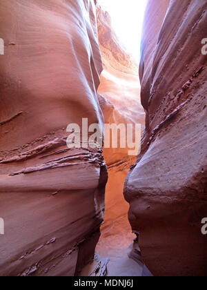Spooky Gulch slot canyon, at Dry Fork, a branch of Coyote Gulch, Hole In The Rock Road, Grand Staircase Escalante National Monument, Utah, USA Stock Photo