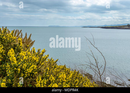Sea view across Lligwy Bay, Anglesey Stock Photo - Alamy