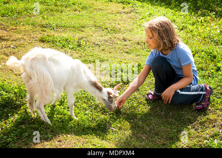 Little girl feeding goat on farm. Stock Photo