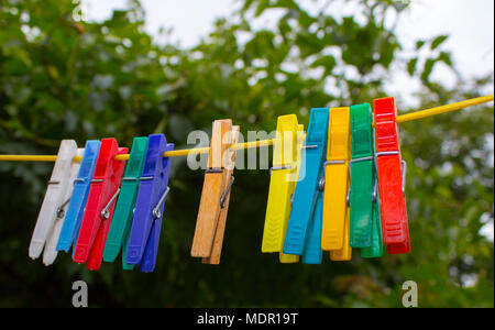 Colorful clothespins hanging on a clothesline. The pegs are made of plastic, only one in the middle is an extraordinary wooden. In the background are  Stock Photo