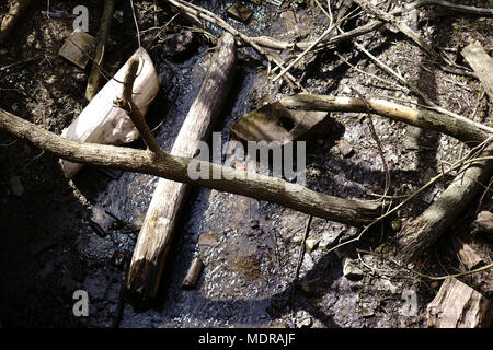 The top view of washed up driftwood and broken tree trunks on the banks of a stream. Stock Photo