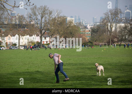 A dog waits for its owner to throw a ball, on 14th April 2018, in Ruskin Park, London borough of Lambeth, England. Stock Photo