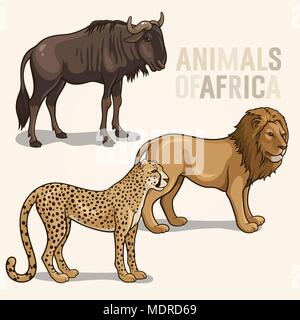 Vector illustrations of african animals isolated on a light background; lion, cheetah, wildebeest Stock Vector