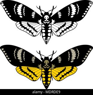 Death's head hawk moth, vector illustration Stock Vector