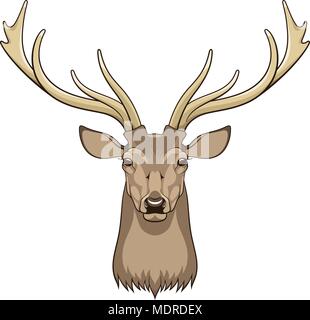 Head of deer isolated on white. This vector illustration can be used as a print on T-shirts or other uses Stock Vector