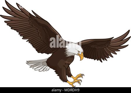 Bald Eagle isolated on white. This vector illustration can be used as a print on T-shirts, tattoo element or other uses Stock Vector