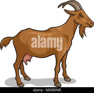 Goat isolated on white. Vector illustration Stock Vector