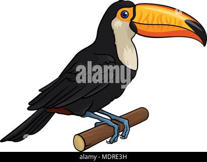 Vector illustration of a Toucan, isolated on white Stock Vector