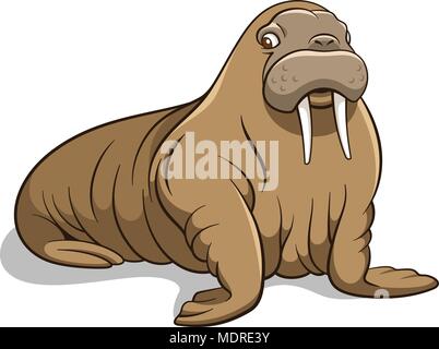 Vector illustration of a walrus isolated on white Stock Vector