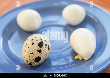 hard-boiled quail eggs near one raw put on a blue dish Stock Photo