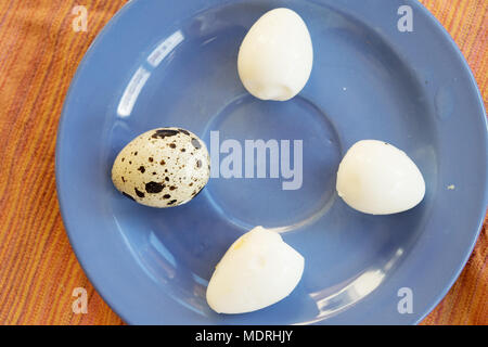hard-boiled quail eggs near one raw put on a blue dish Stock Photo