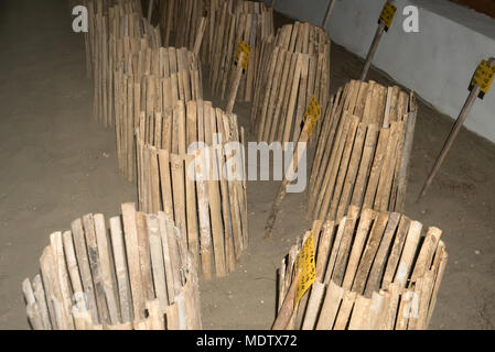 The turtle eggs buried in the sand. Incubator turtles outdoor. Conservation of endangered species of large giant turtles in the Andaman Islands India Stock Photo