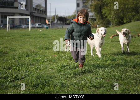 Little boy playing and running with his two dogs on lawn in city park. Stock Photo