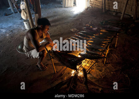 Moqueado fish being inside the hollow - Village Aiha Kalapalo - Parque do Xingu indigenous Stock Photo