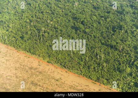Aerial view of Amazon forest area cleared for pasture Stock Photo