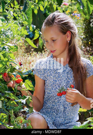 beautiful girl in cherry dress with a hat in the woods Stock Photo - Alamy
