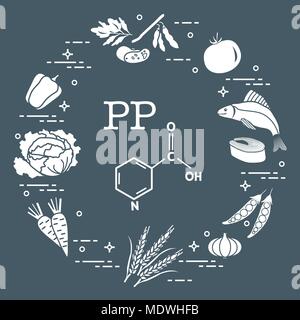 Foods rich in vitamin PP. Beans, fish, tomato, soya beans, peas, garlic, wheat, carrots, cabbage, pepper. Stock Vector