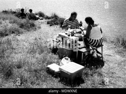 AJAXNETPHOTO. 1996. CAP GRIS-NEZ, PAS-DE-CALAIS, FRANCE. CLIFF TOP PICNIC, AUGUST. PHOTO:JONATHAN EASTLAND/AJAX REF:FRA PICNIC CGN 9608 Stock Photo