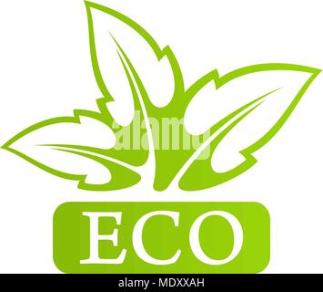 Logo Eco with green leafs  Stock Vector