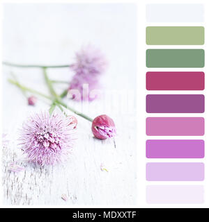 Freshly cut organic chives lying on a wooden background with color palette. Stock Photo
