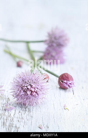 Freshly cut organic chives lying on a wooden background. Stock Photo