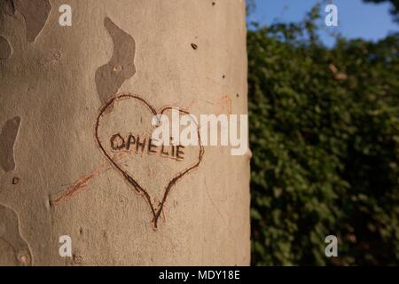 Paris, rue emile richard, Montparnasse Cemetery, heart shaped graffiti, name 'Ophélie' carved on a tree trunk Stock Photo