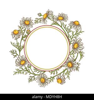 chamomile flower vector frame on white background Stock Vector