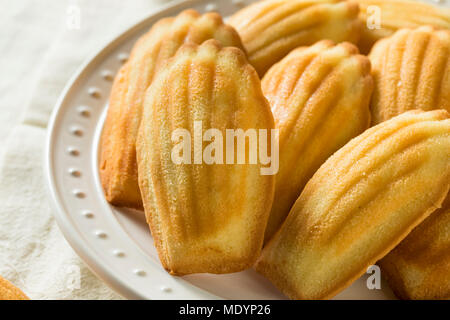 Homemade Sweet French Madeleines Ready to Eat Stock Photo