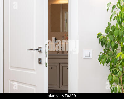 Ajar white door in a dark bathroom. Series switch on a light gray wall. Modern chrome door handle and lock. Green houseplant Stock Photo