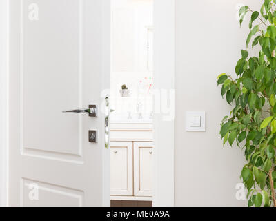 Ajar white door to the bathroom. Series switch on a light gray wall. Modern chrome door handle and lock. Green houseplant Stock Photo