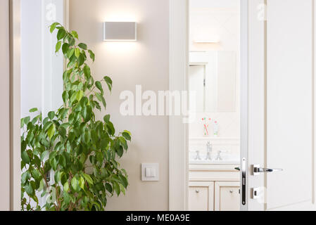 Ajar white door in the bright bathroom. Series switch and modern wall lamp on light gray wall. Chrome door handle and lock. Green houseplant Stock Photo