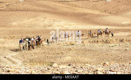 tourists riding camels  in the negev desert near Arad in Israel Stock Photo