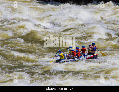 Wild Sheep Rapid Class IV, Hells Canyon, Snake River, deepest gorge in North America (7900 feet), forms the border of Idaho and Oregon. Photographer N Stock Photo