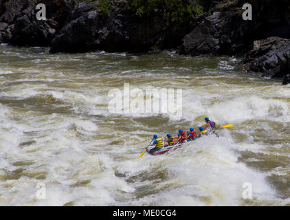 Wild Sheep Rapid Class IV,Hells Canyon, Snake River, deepest gorge in North America (7900 feet), forms the border of Idaho and Oregon. Photographer No Stock Photo