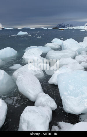 Antarctica, Brown Bluff. Close-up profile of adelie penguin adult's ...