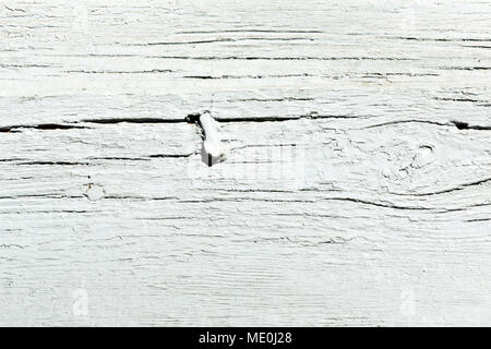 White painted structure of old tree. Cracked wooden surface background Stock Photo