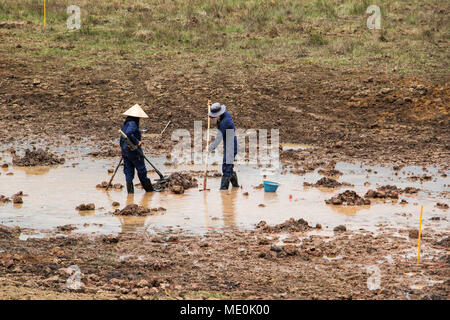 Women using a metal detector while clearing landmines in a field near Phonsavan; Xiangkhouang, Laos Stock Photo