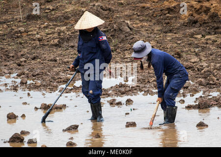 Women using a metal detector while clearing landmines in a field near Phonsavan; Xiangkhouang, Laos Stock Photo