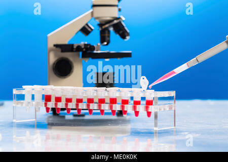 Identification of pathogenic microbes and viruses. Stock Photo