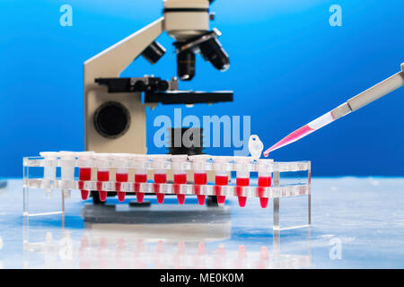 Identification of pathogenic microbes and viruses. Stock Photo