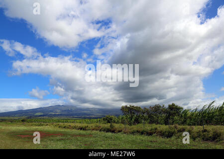 Haleakala and Sugar Cane Fields, Maui Stock Photo - Alamy