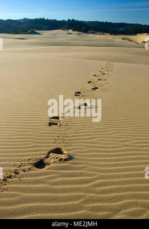 Footprints, Umpqua Dunes Scenic Area, Oregon Dunes National Recreation Area, Oregon Stock Photo