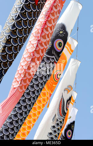 Japanese carp streamer decoration against blue sky, Children's Day Stock Photo