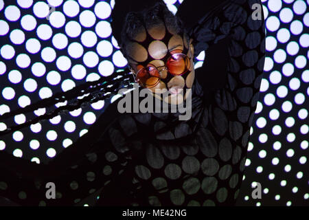 Creative dotted pattern from projection light on beautiful women with dark skin Stock Photo