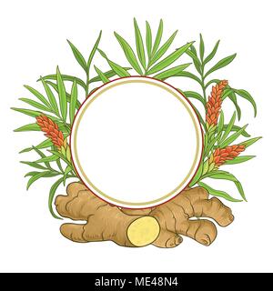 ginger plant vector frame on white background Stock Vector