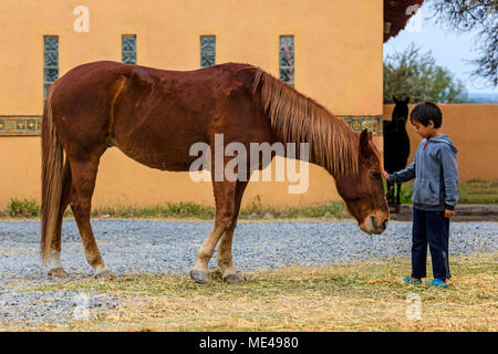 A young boy with a LUSITANO horse at the Granja Las Animas Ranch - San MIguel de Allende Mexico Stock Photo