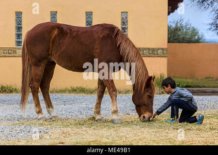 A young boy with a LUSITANO horse at the Granja Las Animas Ranch - San MIguel de Allende Mexico Stock Photo