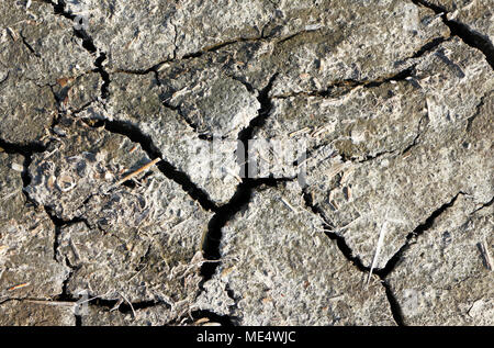Cracks in dried out mud in hot sun on a river bank at Thurne, Norfolk, England, United Kingdom, Europe. Stock Photo