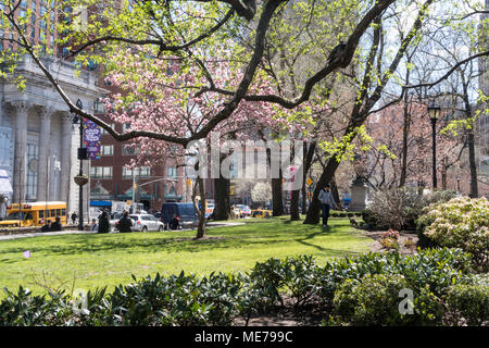 Springtime in Union Square Park, NYC, USA Stock Photo